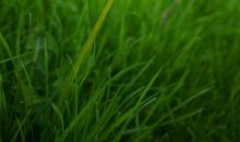 我喜欢的季节_800字