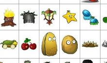 其实，我也很脆弱_150字