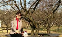 早春晚冬，一去无回_500字