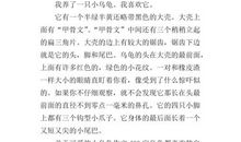 一年级状物作文：乌龟_400字