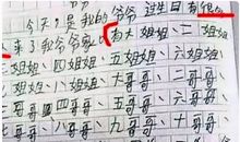 初三，您好_800字