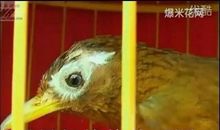 我们错过的，都是珍贵的_1200字