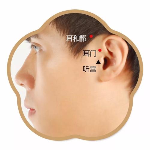 用耳朵聆听你的悲伤_700字