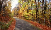 秋天的颜色_800字