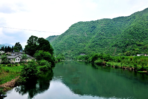 安徽省南部的珍珠 - 石泰(绿州皖南茶乡)_550字