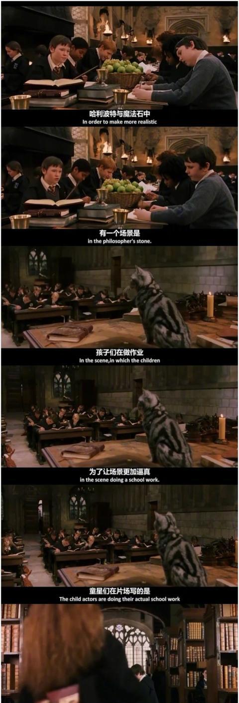 阅读“哈利波特”_1200字