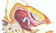 最尴尬的一件事_900字