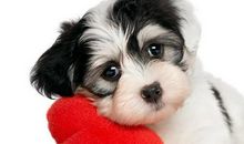 蜗牛拿到奖品以后_550字