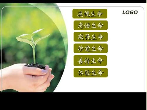 感觉生活_550字