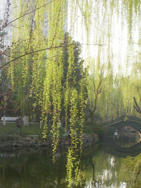 阅读“浮动”_800字