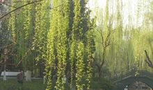 读《飘》有感_800字