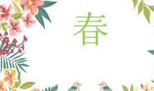 [PK赛]关于春天的作文：春天_450字