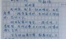 [PK赛]关于春的作文：留心生活_900字
