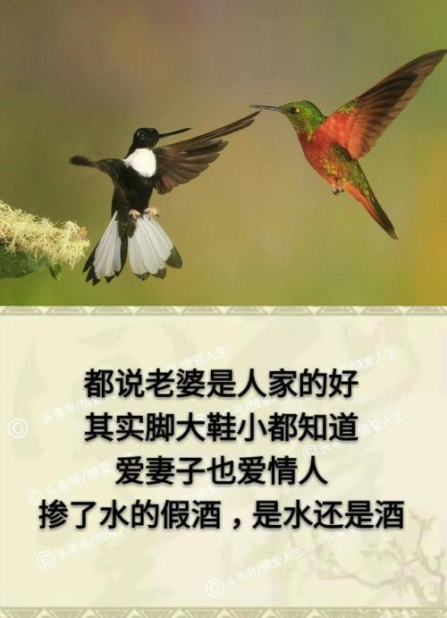 了解和信任_1200字