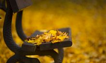 写景作文：秋雨落叶_400字