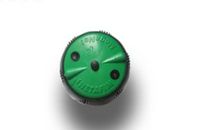 {难忘2015}天使般的麦格_750字