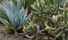 [难忘2015]与你同在_750字