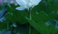 [难忘2015]难忘2015_1200字