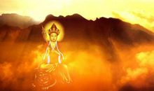 由金鱼悟生命_450字