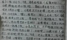 为生命喝彩_500字