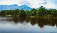 [超新星初中组]夏日之晨_1000字