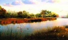 游湿地公园_250字