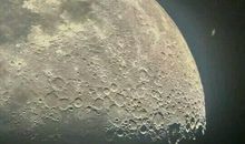 [超新星初中组]萤火奇迹_1000字