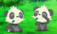 最后的一只熊_2000字