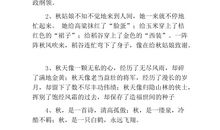 提升文采的排比句精选