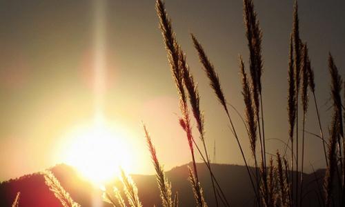 快乐的阳光_600字