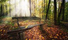 我把自己忘在秋风里_450字