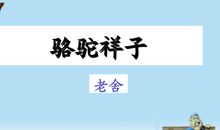 旧北京人力车夫的辛酸故事——读《骆驼祥子》有感_900字