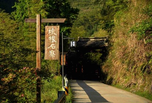 湿阳光让我心中_1000字