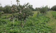 [难忘2015]难忘2015_1500字