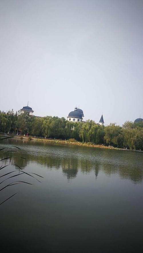 美丽的南湖公园_350字