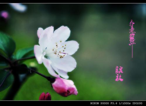 春天_200字