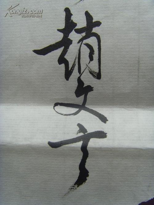 滕蛇，雾，真实土壤_900字