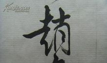 腾蛇乘雾·终为土灰_900字