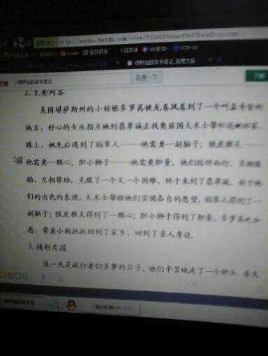 小说的魅力_400字