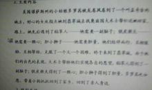 小说的魅力_400字