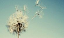 最美丽的等待_650字