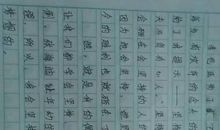 这件事让我懂了一个道理_900字