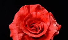 生命美丽如花_750字