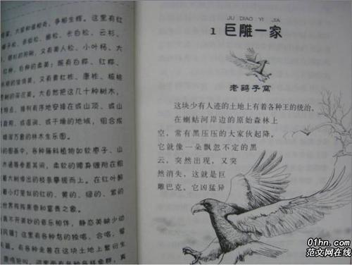 阅读“朋友”是_500字的感觉