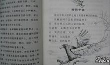 读《朋友》有感_500字