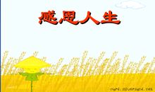 感恩人生_650字