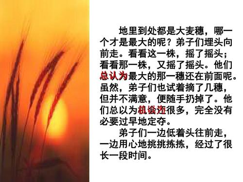 阅读“最大小麦”感觉_550字