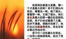 读《最大的麦穗》有感_550字