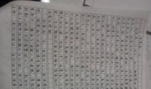 理想的风筝_500字