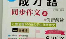 读《假文盲》有感_400字